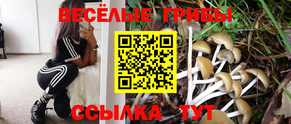 Галлюциногенные грибы Cubensis Обь